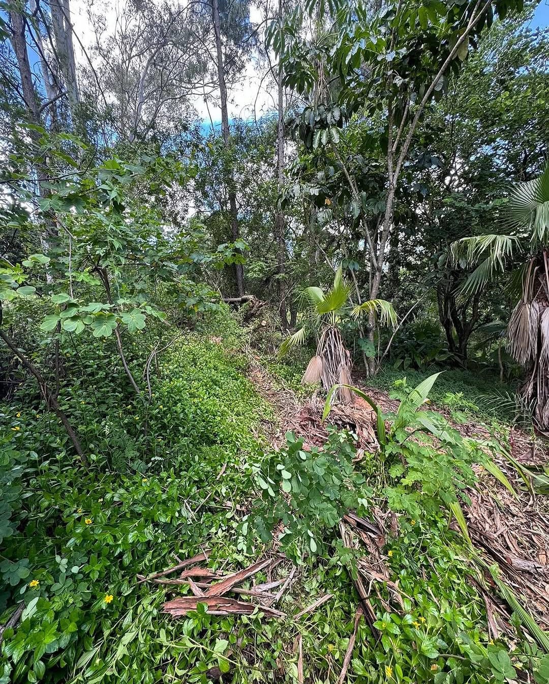 Cleared and levelled site ready for construction in Sydney