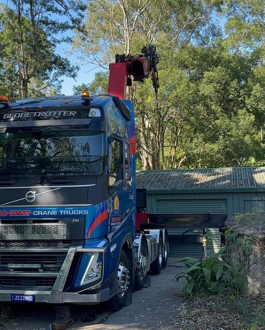 Crane-assisted large tree removal in Sydney