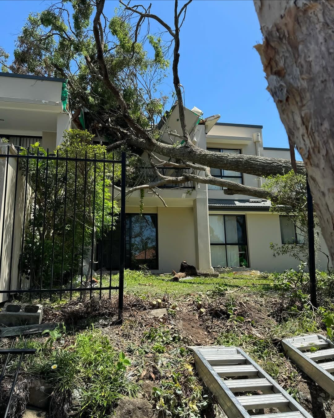 Emergency storm tree removal from house roof