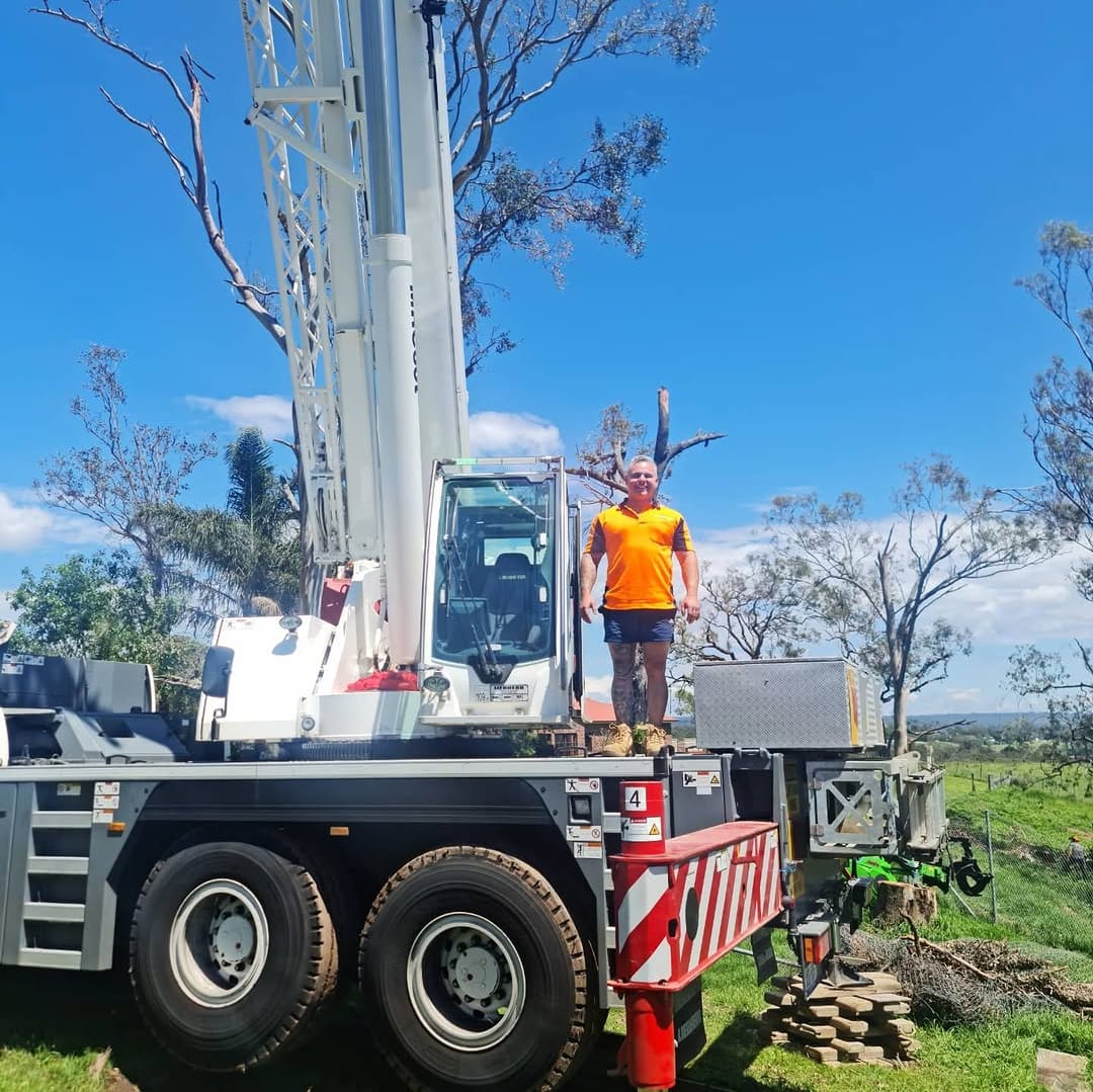 Large tree being dismantled section by section in Sydney