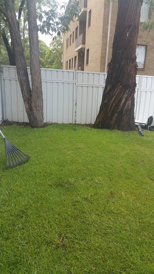 Garden Maintenance