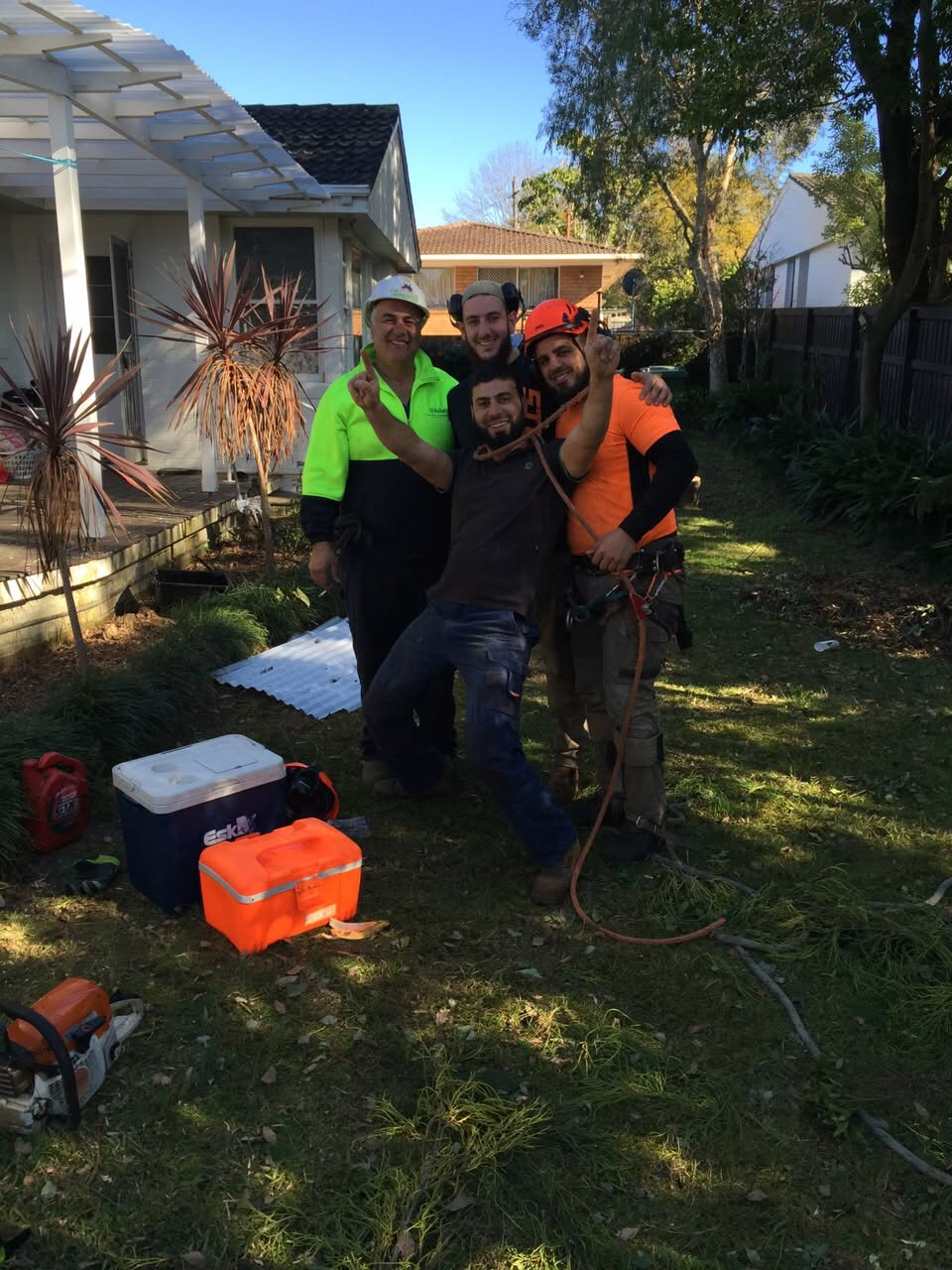 The Arbor Tree Solutions team on site in Sydney